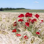 Feriehus 8562-grenaa-strandsletten-9 Grenå