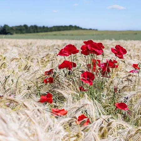 8562-grenaa-strandsletten-9 Feriehus Brondstrup
