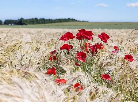 8562-grenaa-strandsletten-9 *